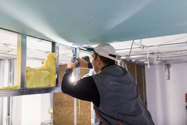 Best Insulation Replacement  in USA